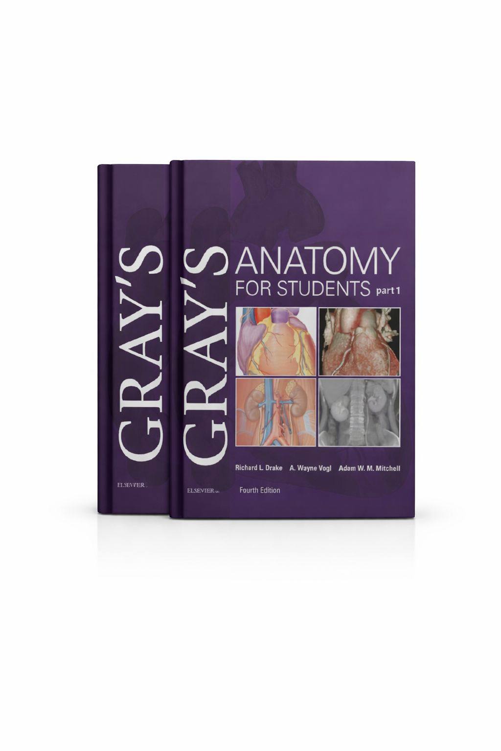 Gray’s Anatomy