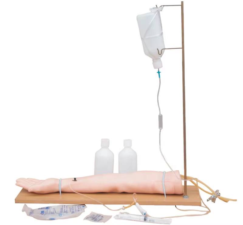 Injectable Training Arm Model - Image 2