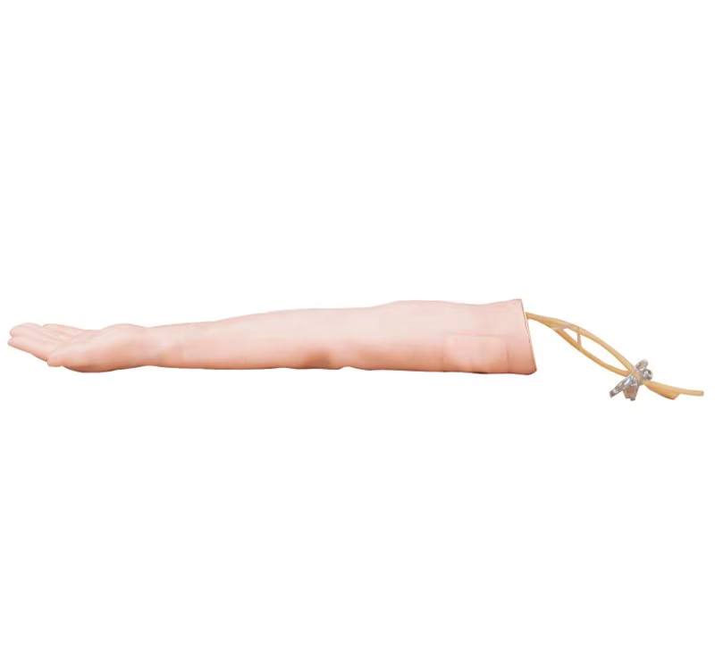 Injectable Training Arm Model