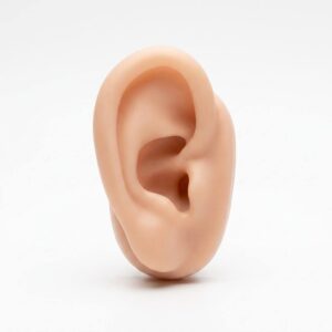 Silicone Ear Practice Model